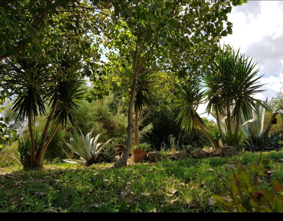 Salento Lapezzaaculuri Βίλα Guagnano Εξωτερικό φωτογραφία